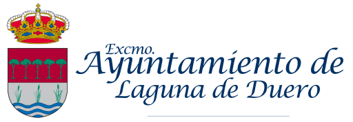 Ayuntamiento Laguna